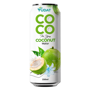 Yudat 250ml Original Flavor Coconut Water